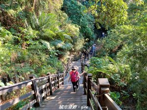 【台中北屯】台灣百大必訪步道。大坑九號步道進~十號步道出