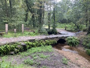 2025 我的朝聖之路 | 第二天實錄 | 葡萄牙中央線