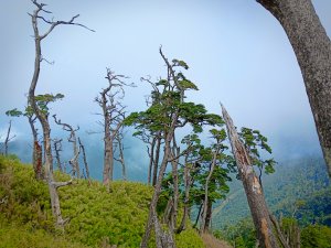 一日單攻北大武山(9小時)