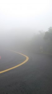 陽明山之擎天崗