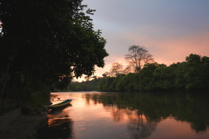 汶萊熱帶雨林健行心得分享