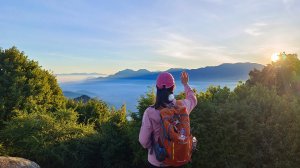 (姨婆趴趴走)第十五集:阿里山夜未眠曙光一日遊，漫步阿里山森林遊樂區