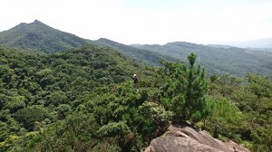 [新北汐止] 柯子林山步道(如意湖-金明山-柯子林山)