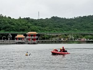 大湖公園 - 消防人員救生艇訓練【走路趣尋寶】