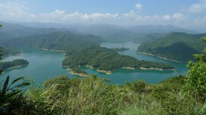 小格頭獅頭山 鱷魚島景觀台 茶園 山腰古道 八卦茶園