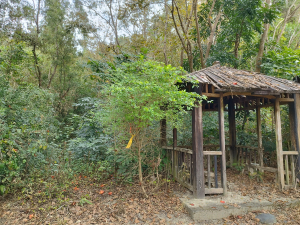 [台南龍崎][五]竹腳湖山西北峰、東西崙、竹子赤山