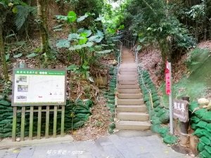 【彰化。二水】台灣百大必訪步道。 松柏嶺登廟步道