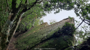 《雲林》望好望角｜石壁山嘉南雲峰步道