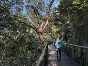 波津加山 20250914