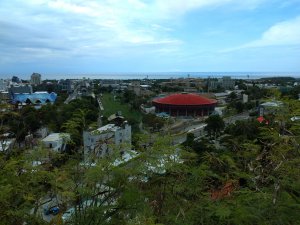  步道巡訪員 l 鯉魚山步道八月巡訪日誌