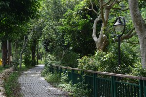 桃米坑溪河濱步道（桃米生態村）