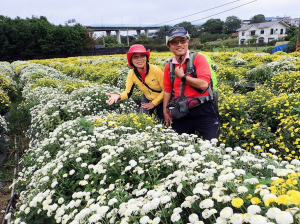 漫遊銅鑼杭菊花田, 順撿牛角坑山!