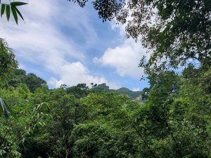 2026微笑山線大縱走尋寶集章任務微笑山線：【五分山系】菁桐煤礦段