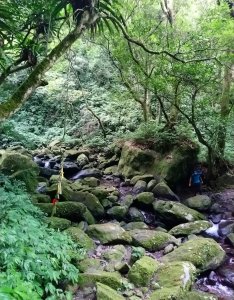 組合山連走滿月圓山O走