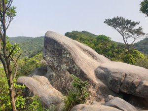 異想天開內湖群山O型走