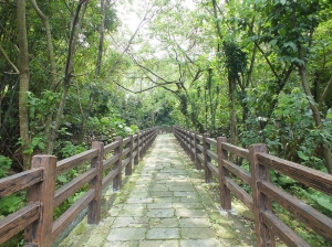 【桃園】挑擔石板古道、清水坑古道、百年古井