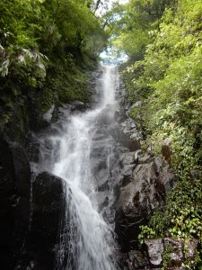 鹿角坑古道+楓林瀑布