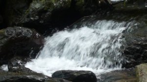 溯溪戲水觀瀑～三峽熊空雲森瀑布