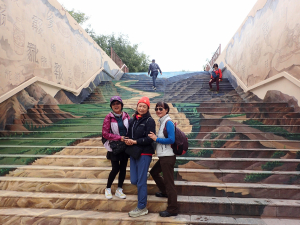 寧夏, 西夏陵博物館-西夏陵景區-青銅峽黃河大峽谷