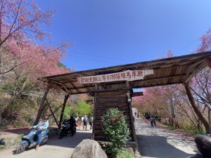 ~ 上帝的部落 - 司馬庫斯 ~