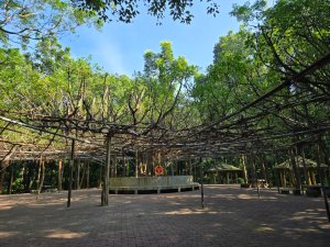 川文山森林保育農場（小陽明山）+大隆田生態園區