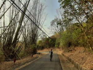 龍崎五間登山步道