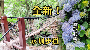 猴崁水圳步道｜走進2026全新水圳步道，漫遊竹子湖繡球花海
