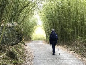 ［溫泉步道小旅行］關子嶺大凍山連走雞籠山