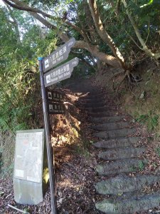 【山系野遊】牛寮埔登山步道加順遊八里光雕