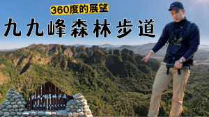 【登山的人】走一趟九九峰森林步道，美景盡收眼底