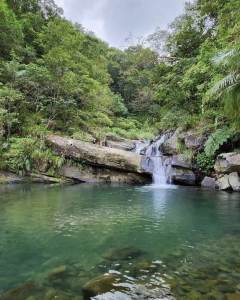 虎頭蜂🐝驚魂記-大溪車站-烏山古道東段-大溪川古道-石盤瀑布-內大溪分校未竟