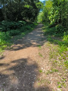 台北大縱走第一段