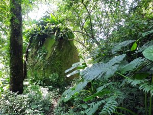 深坑麻竹寮山、昇高坑山及向天湖古道微旅行