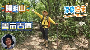 陽明山涼爽好走步道菁苗古道，冷門幽靜，生態原始自然小徑。串連冷苗步道，前往冷水坑、擎天崗，或腰繞七星山，前往竹子湖賞繡球花，吃美食。