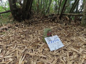 南瀛百岳～圓山