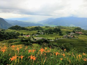 萬人山(小百岳#92)、六十石山《金針花季尾聲》