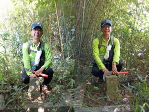 探勘台中東勢新伯公山+中嵙山