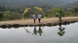 戀戀魯冰花(季) 串走大北坑 龍泉、江申、福人步道與保甲古道　　