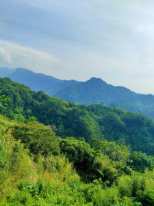 🔺苗栗/大湖/砲石山，H670m (殖產局三角補點 | 大03)