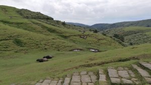 魚路古道北段