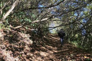 【南投】望美山連走瓊山