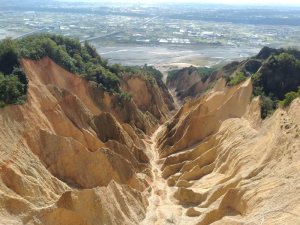 2019-081：走訪火炎山＆苑裡落羽松秘境