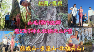 115.02.14桃園／復興 山毛櫸的故鄉-魔幻的神木群北插天山P型（赫威山-多崖山-北插天山）