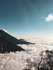 山友的頭像