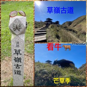 福隆-草嶺古道-芒草季/頭城吾居吾墅:灣坑頭山-大嶺古道