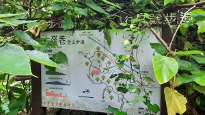 《彰化》西北雨後｜花壇大嶺巷步道群O繞
