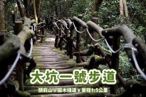 【大坑一號登山步道】健行陡峭的相思圓木棧道 x 親子互動大坑體訓場