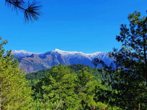 【塔塔加六山】眺望玉山最美稜線