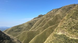 抹茶山