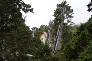 如夢初醒，童話小屋!雪主北東+翠池四日